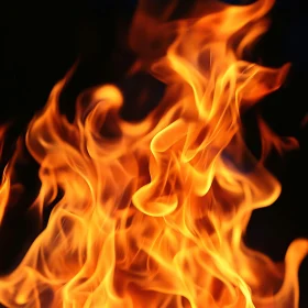 Captivating Image of Fire