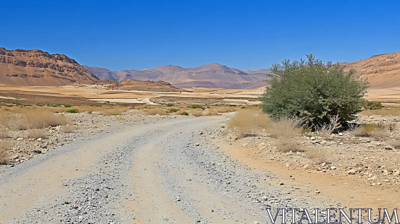 Arid Desert Scene with Shrub and Pathway AI Image