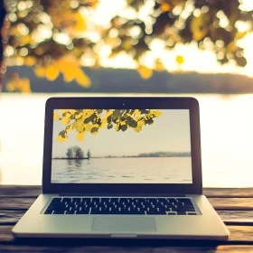 Nature Reflected on Laptop Screen