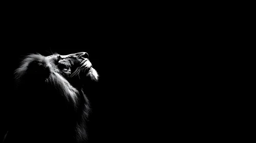 Monochrome Lion
