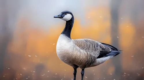 Serene Autumn Goose Portrait