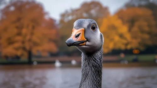 Autumn Goose by the Lake