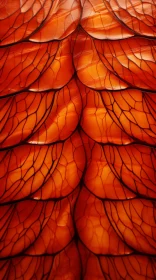 Captivating Orange Wing Ornaments with Stained Glass Effects