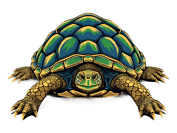 POD Design Bold Turtle Artwork