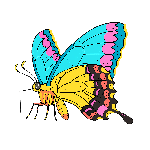 Colorful Cartoon Butterfly Illustration