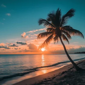 Palm Tree Silhouette at Sunset Beach