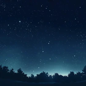 Enchanting Night Sky with Silhouetted Trees