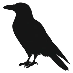Black Raven Silhouette on White