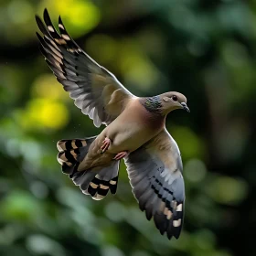 Dove Flying in Greenery