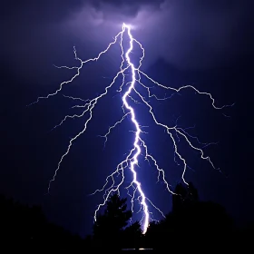 Night Lightning Over Forest