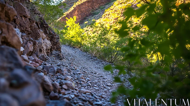 AI ART Rocky Nature Trail Surrounded by Greenery