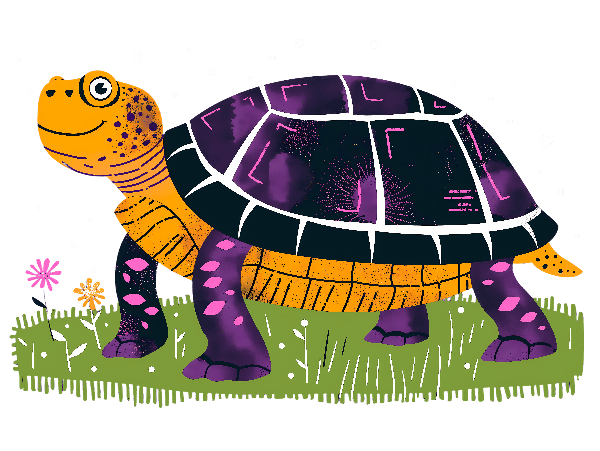 Colorful Turtle Cartoon Graphic POD Design