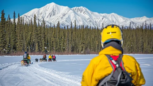 Adventurous Sled Dog Races in Alaska - Stunning Photography