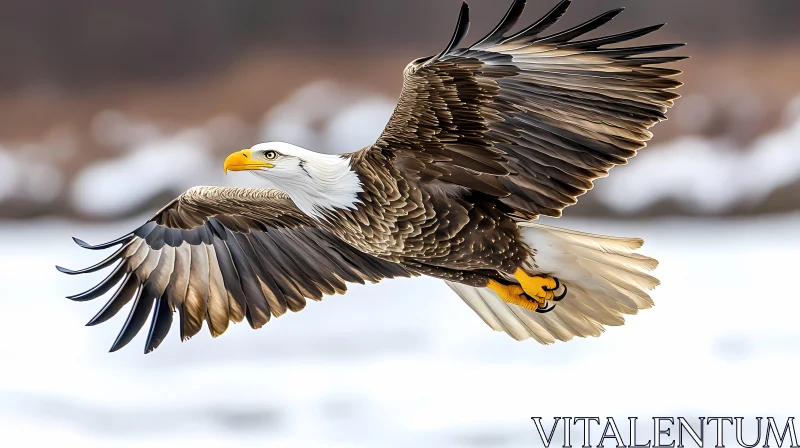 Eagle Soaring Through Winter Sky AI Image