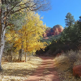 Autumn Forest Path with Stunning Red Rock Backdrop