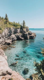 Tranquil Coastline with Clear Waters and a Seal