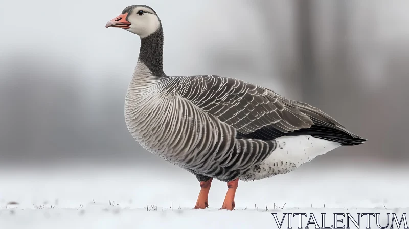 Graceful Goose in Snow AI Image