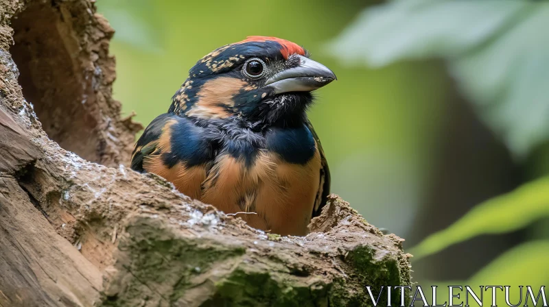 AI ART Colorful Bird Portrait in Tree Hollow