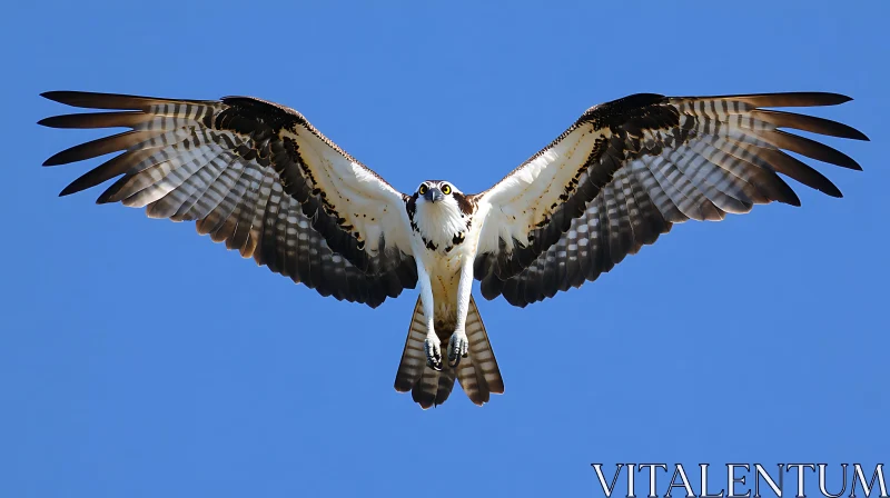 Soaring Bird with Open Wings AI Image