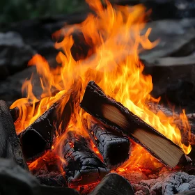 Glowing Campfire with Burning and Charred Logs