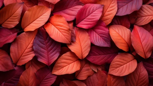 Monochromatic Autumn Leaves - A Celebration of Chromatic Harmony