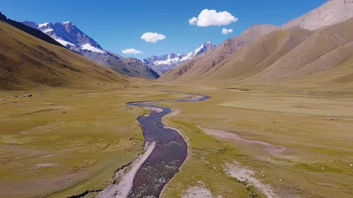 Flowing River in a Mountain Valley Landscape