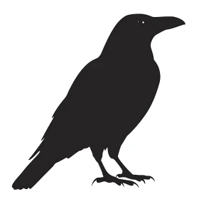 Monochrome Raven Illustration