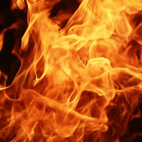 Abstract Presentation of Intense Flames