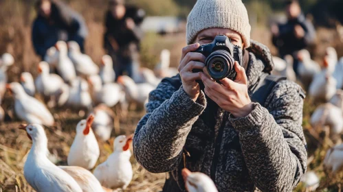 Photographer and Geese in Natural Habitat