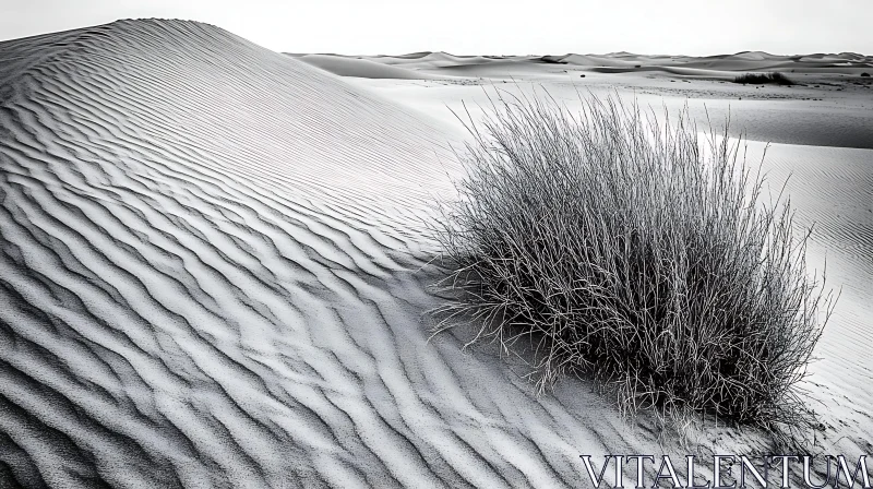 Desert Scene in Black and White with Sand Ripples and Vegetation AI Image