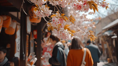 Enchanting Cherry Blossom Walk: A Critique of Consumer Culture