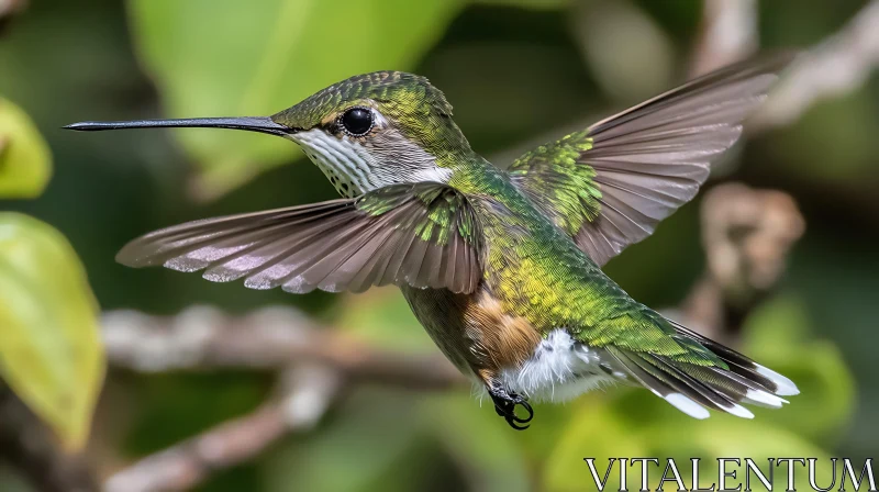 Emerald Hummingbird Hovering AI Image