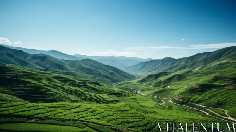 Serenity in Green: Oriental Minimalist Landscape of a Mountain Valley AI Image