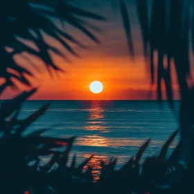 Tropical Sunset Seascape with Palm Silhouette
