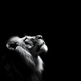 Monochrome Lion