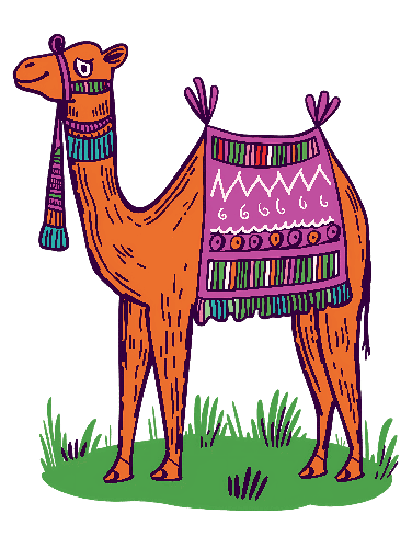 Cartoon Illustration of a Camel on a Transparent Background POD Design