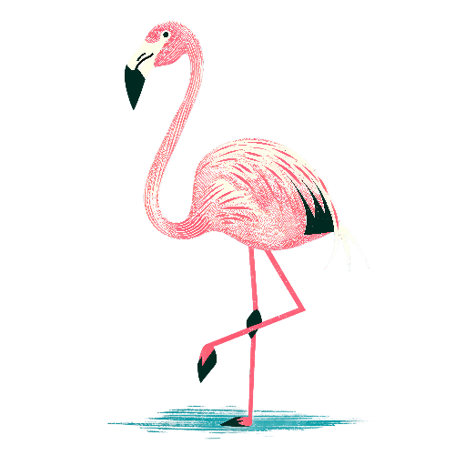 Cartoon Flamingo T-Shirt Design - Bright and Cheerful