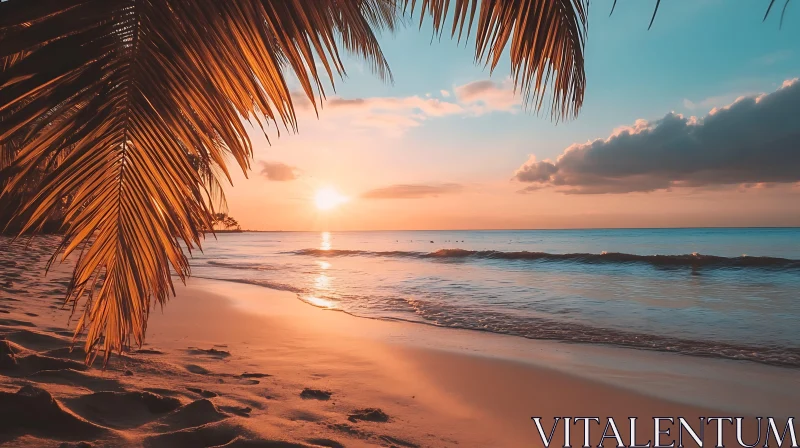 Coastal Sunset with Palm Trees