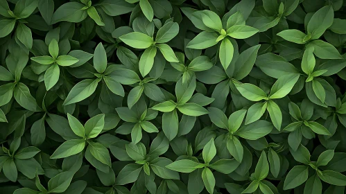 Lush Green Leaves Pattern