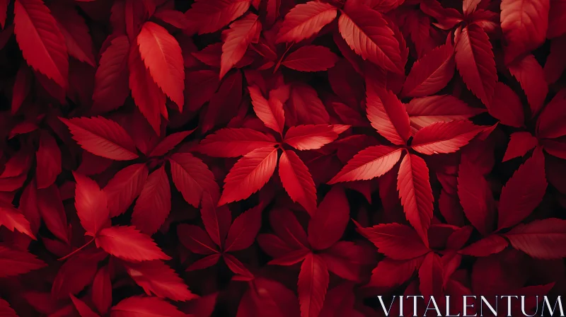 Scarlet Foliage: An Autumnal Abundance