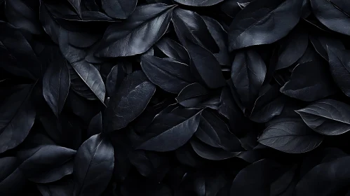 Dark Leaves Nature Close-Up