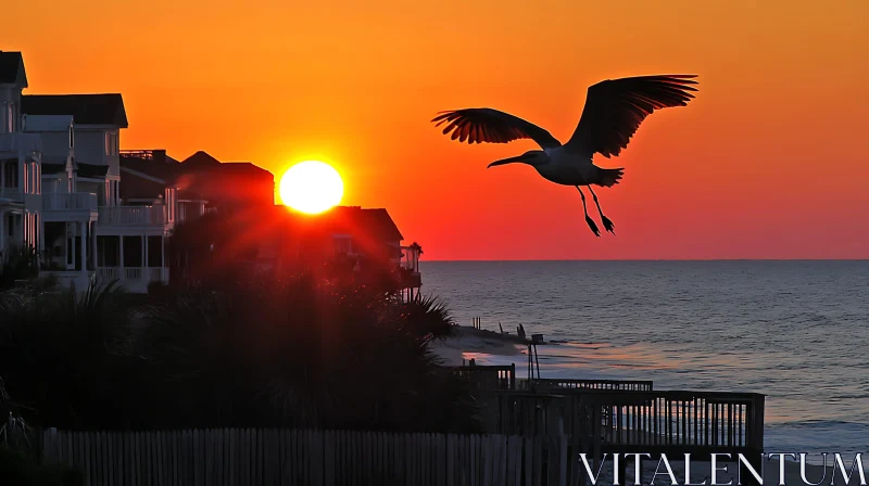 Coastal Bird at Sunrise