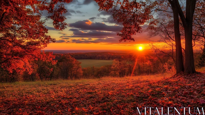 Autumn Sunset Landscape