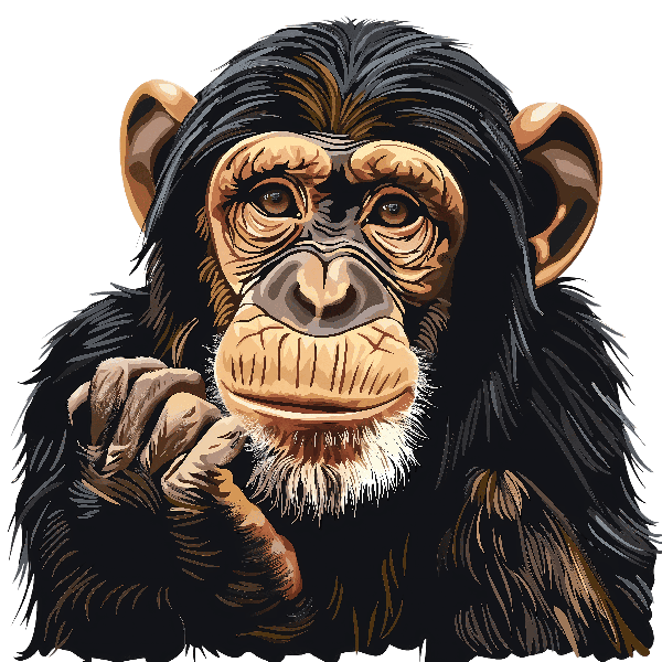 Chimpanzee Art on Transparent Background