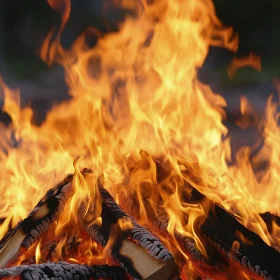 Captivating Flames of a Cracking Campfire