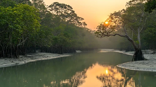 Still River at Sunset