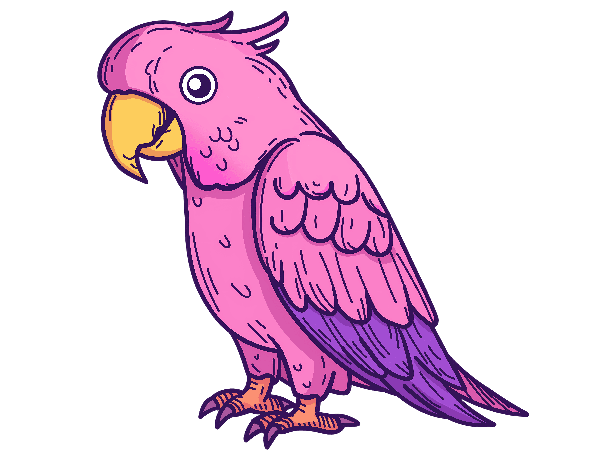 POD Design Cute Pink Parrot Drawing