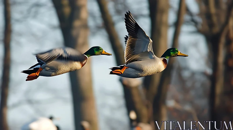 Ducks Flying Over The Lake AI Image