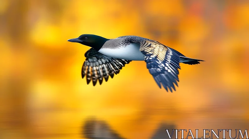 Soaring Loon Over Golden Waters AI Image