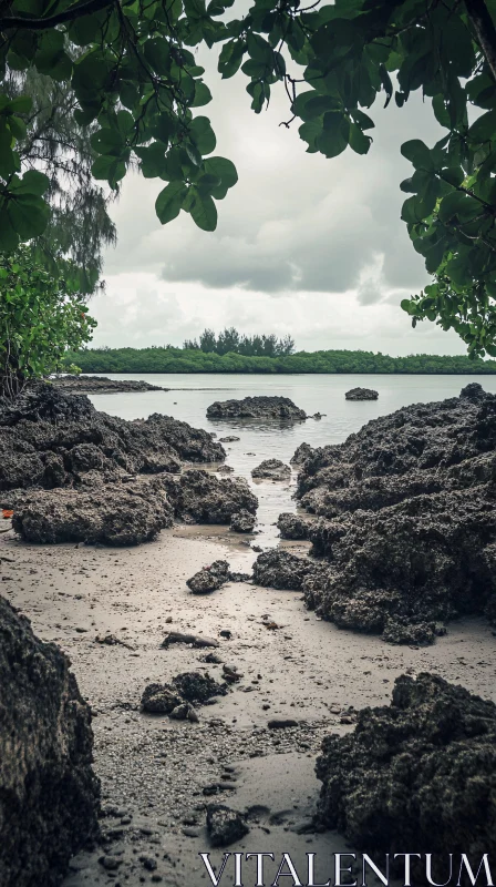 AI ART Tropical Island Rocky Beach Scene